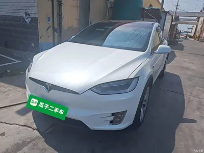 2019 Tesla Model X Long Range Version, фото 1, лот 10370615