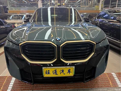2023 BMW XM 50e, фото 2, лот 10477233