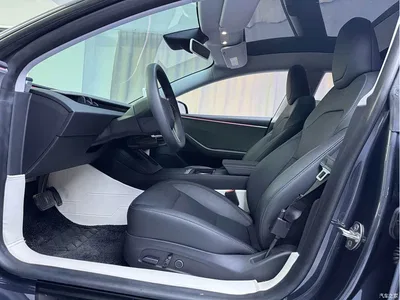 2023 Tesla Model 3 Rear-Wheel Drive, фото 4, лот 10346342