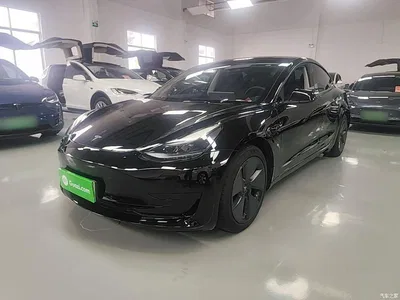 2022 Tesla Model 3 Model Rear-Wheel Drive Version, фото 1, лот 10369669