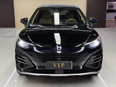 2023 Denza N8 Model AWD Super Hybrid Flagship 7-Seater, фото 1, лот 11516519