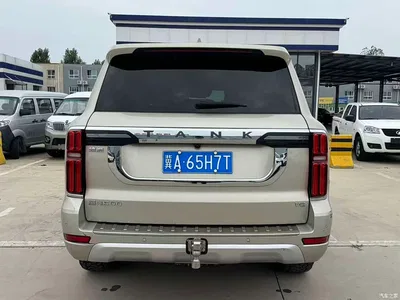 2022 Tank 500 3.0T Business Edition Zaojing 5-Seater, фото 4, лот 11204820