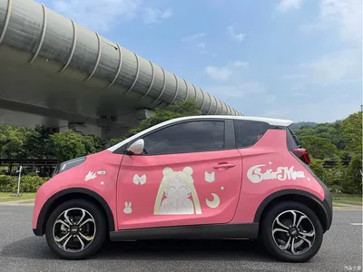 2021 QQ New Energy Little Ant 200K Fans Edition Talent Version (LFP Battery 301km), фото 4, лот 10823648