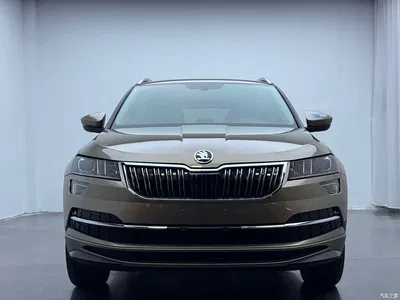 2022 Škoda Karoq TSI280 Luxury Edition, фото 4, лот 10349549