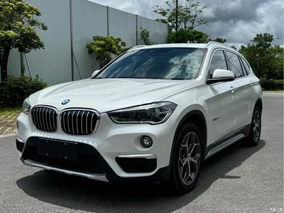 2018 BMW X1 xDrive20Li Premium Model, фото 3, лот 10466776