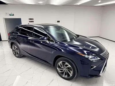 2016 Lexus RX 300 4WD Elegance Edition China VI, фото 3, лот 10312756