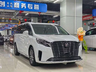 2023 Buick GL8 ES Landmaster Exclusive, фото 3, лот 11174869
