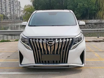 2021 GAC Trumpchi Trumpchi M8 Master Series 390T Ultimate Edition, фото 2, лот 10418990