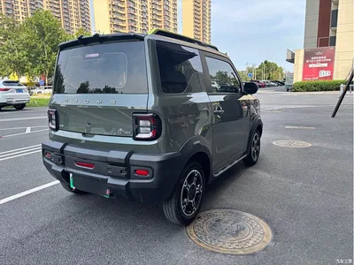 2025 Geely Galaxy Panda Model Year 210km Panda Knight, фото 4, лот 10430954