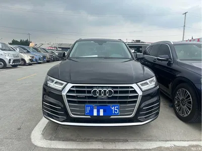 2020 Audi Q5L 45 TFSI Exclusive Fashion, фото 2, лот 10455659