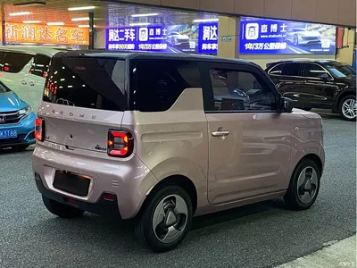 2023 Geely Galaxy Panda Mini 200km Endurance Bear, фото 4, лот 10429532