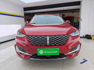 2021 WEY VV6 2.0T 2WD Smart Enjoyment+, фото 3, лот 11584949