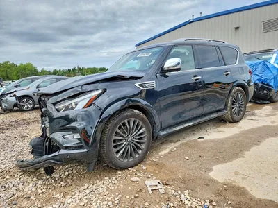 2024 INFINITI QX80 SENSORY, фото 1, лот 11589803