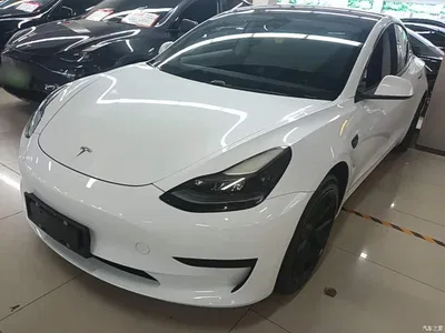 2021 Tesla Model 3 Standard Range Rear-Wheel Drive Upgrade, фото 1, лот 10370092