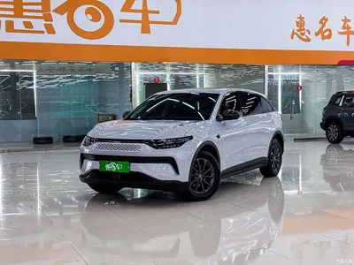 2023 Leapmotor C11 Extended Range 200 Comfort Edition, фото 1, лот 10317443