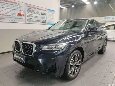 2022 BMW X4 xDrive 30i M Sport Package, фото 1, лот 11179693