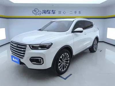 2020 Haval H6 1.5GDIT Automatic Platinum Champion Edition, фото 1, лот 10296519