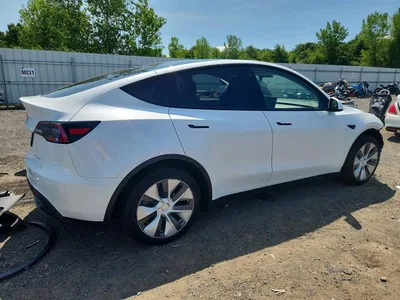 2023 TESLA MODEL Y, фото 3, лот 10852196