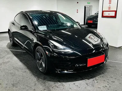 2022 Tesla Model 3 Model Rear-Wheel Drive Version, фото 3, лот 10354858
