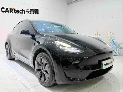 2023 Tesla Model Y Rear-Wheel Drive Edition, фото 3, лот 10479000