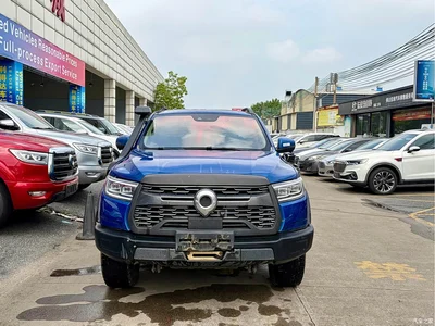 2020 Great Wall Pao 2.0T Off-Road Auto Gasoline 4WD Premium Edition GW4C20B, фото 2, лот 10816392