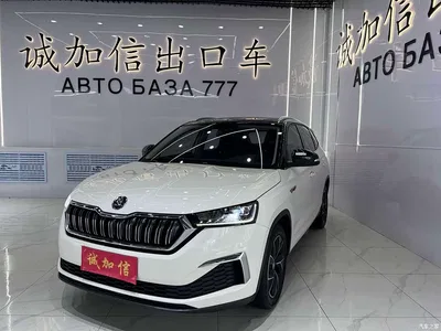 2021 Škoda Kamiq GT TSI230 DSG Flagship Edition, фото 1, лот 10349408
