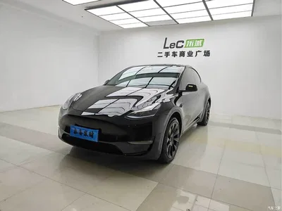 2024 Tesla Model Y Long Range AWD, фото 1, лот 11173841