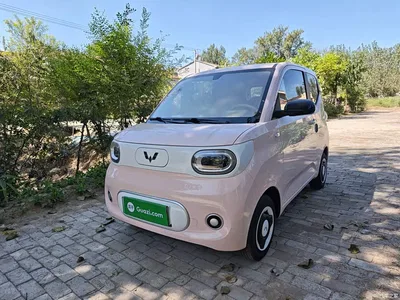 2024 Wuling Motors Hongguang MINIEV 3rd Generation 215km Youth Edition, фото 1, лот 10357508