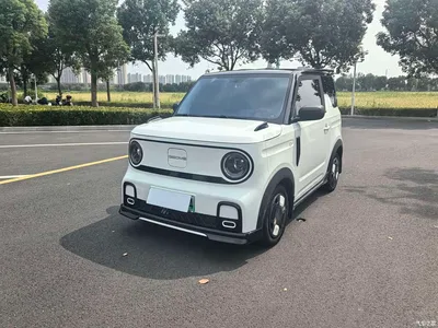 2025 Geely Galaxy Panda Model Year 210km Panda Kart, фото 1, лот 11197356