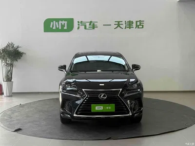 2020 Lexus NX 200 FWD Sharp Edition China VI, фото 2, лот 10312416