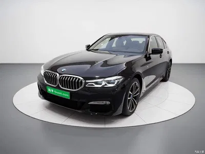 2023 BMW 3 Series 320Li M Sport Package, фото 1, лот 11205547