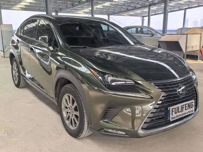 2020 Lexus NX 200 AWD F Sport China VI, фото 3, лот 10311378