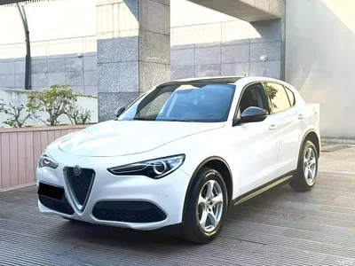 2017 Alfa Romeo Stelvio 2.0T 200HP Elite, фото 1, лот 10240307