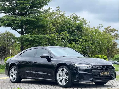 2022 Audi A7L 45 TFSI quattro S-line Wind Rider, фото 3, лот 10239619
