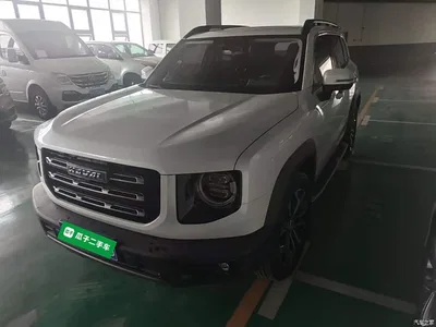 2021 Haval Big Dog 1.5T DCT 2WD Malinois Edition, фото 1, лот 11138665