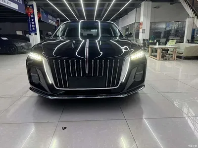 2024 Hongqi H5 2.0T Automatic Smart Connect Flag Smooth Edition, фото 2, лот 11396603