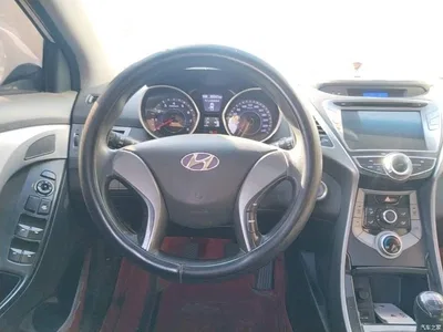 2015 Hyundai Langdong 1.6L Manual Premium, фото 3, лот 11570492