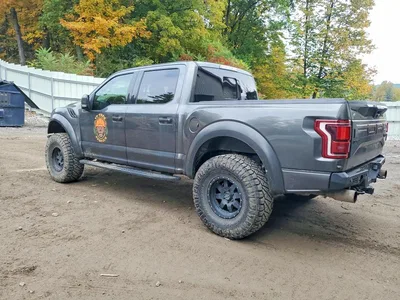 2018 FORD F150 RAPTOR, фото 2, лот 11550964