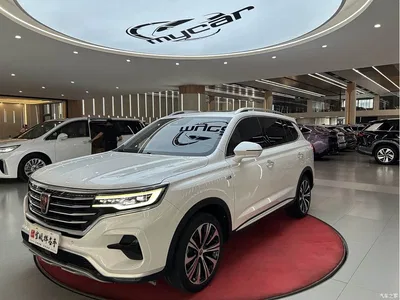 2019 Roewe RX5 MAX 300TGI Automatic Smart Cockpit Flagship Edition, фото 1, лот 11174994