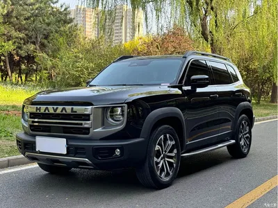 2024 Haval Big Dog 1.5T DCT Border Collie Edition, фото 1, лот 10361523