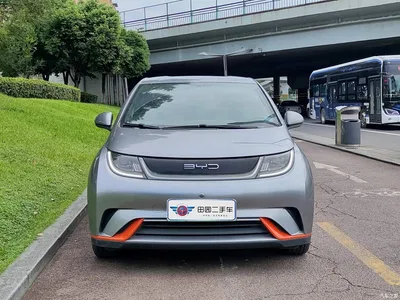 2021 BYD Dolphin 405km Freedom Edition, фото 2, лот 11516941