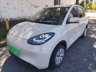 2025 Wuling Motors Wuling Bingo Model 203km Light Enjoyment, фото 2, лот 10383327