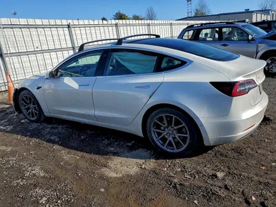 2019 TESLA MODEL 3, фото 2, лот 10857398