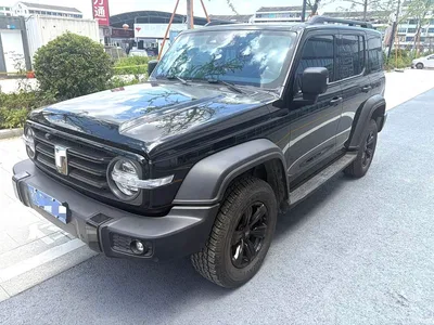 2023 Tank 300 Off-Road Edition 2.0T Conqueror, фото 1, лот 10827282