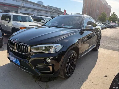 2018 BMW X6 xDrive35i M Sport Luxury Model, фото 1, лот 10468987