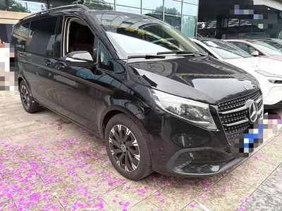 2024 Mercedes-Benz V-Class V 300 Pilot Edition, фото 2, лот 11073515