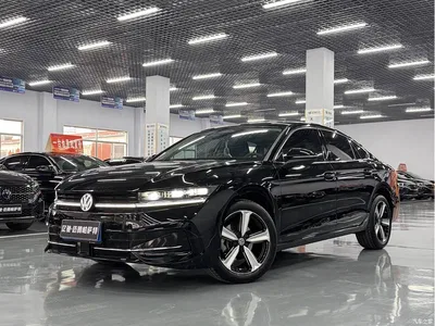 2024 Volkswagen Magotan 380TSI DSG Luxury Edition (Daimai Package), фото 1, лот 11225083
