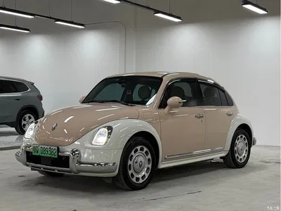 2023 Ora Ballet Cat 401km Luxury Model, фото 1, лот 11584577