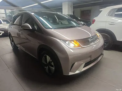 2023 BYD Dolphin 420km Fashion Edition, фото 4, лот 11067873
