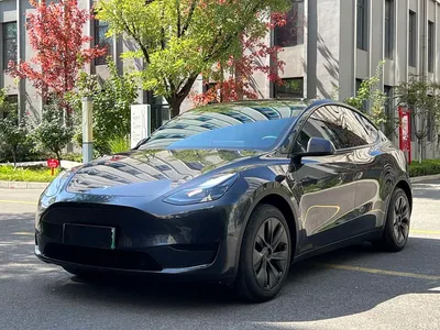 2024 Tesla Model Y Rear-Wheel Drive Version, фото 1, лот 11508686